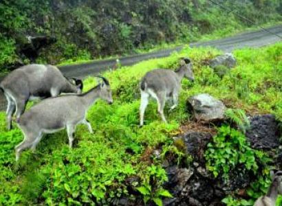 ekkady-Madurai-Rameshwaram-Kanyakumari- -Kovalam-- Alleppey cochinMunnar- Th