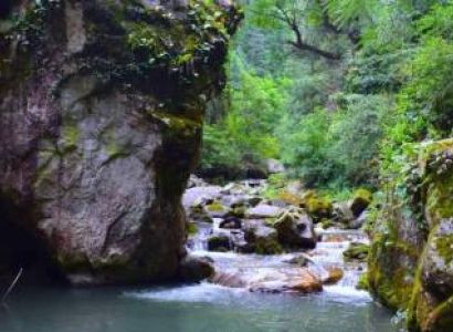 Jibhi - Tirthan Valley - Shoja - Jalori Pass 4 Days Tours From Chandigarh