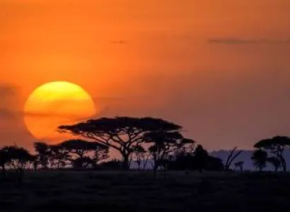 Tanzania Best Value Joing Safari Adventure – Tarangire Lake Manyara Serengeti Ngorongoro Crater