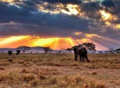 Manyara Tour Packages