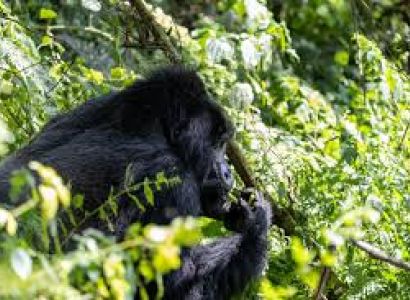 Kanungu Tour Packages
