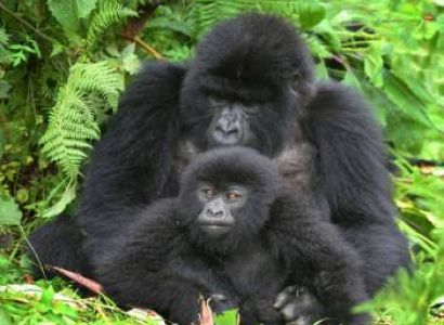 Kasese Tour Packages