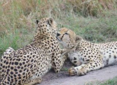 Ngorongoro Tour Packages