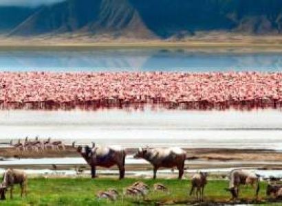 Ngorongoro Tour Packages