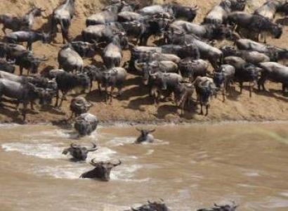 3 Days - 2 Nights Group Joining Masai Mara Safari Tour