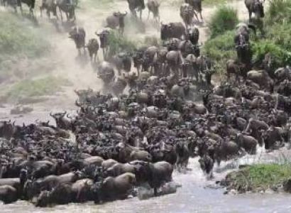 5 Days African Safari Tour - Best Of Kenyan Luxury Safari From Nairobi
