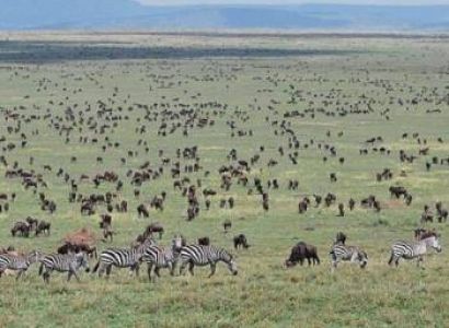 5 Days Masai Mara - Nakuru - Naivasha Safari Tour