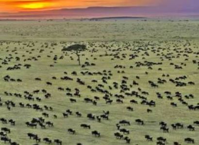 5 Days Masai Mara - Nakuru - Naivasha Budget Safari Package