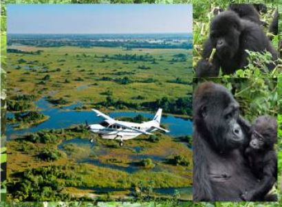 4 Days Mountain Gorilla Trekking Safari-Flying Tour