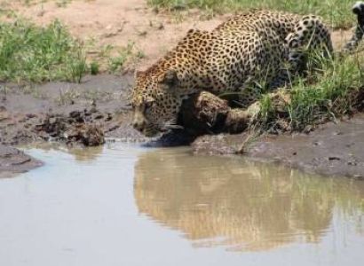 4 Days Masai Mara - Lake Naivasha Safari Tour