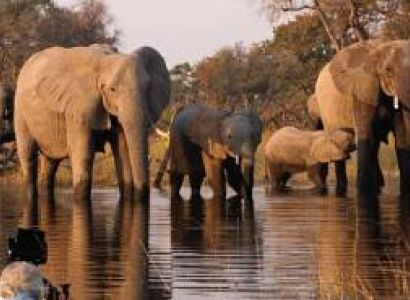 6 Days 5 Nights Northern Circuit Safari Tour