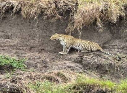 Ngorongoro Tour Packages