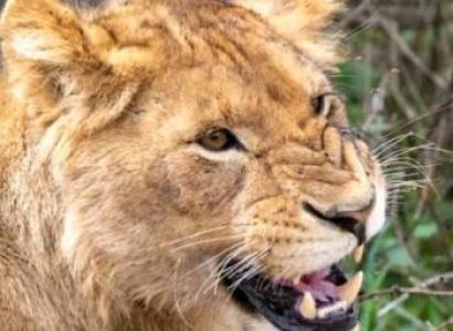 Ngorongoro Tour Packages