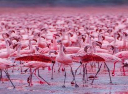 Samburu Tour Packages