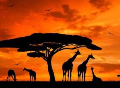 14 Days 13 Nights Beach - Safari Package