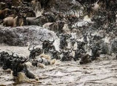 Samburu Tour Packages