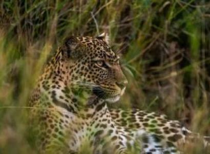 Samburu Tour Packages