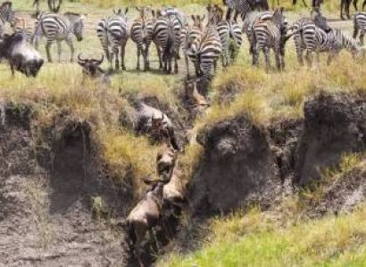 3 Days Masai Mara Safari Tour From Nairobi