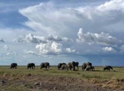 Best Kenya Group Joining Safari Experience- Masai Mara and Lake Naivasha