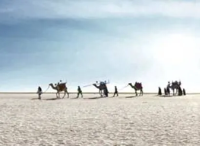Rann Utsav 3 Night - 4 Days