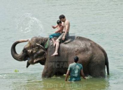 Kathmandu Pokhara Chitwan Tour Package