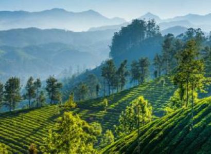 Gangtok Tour Package from Siliguri