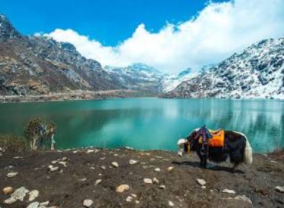 Lachung Tour Packages
