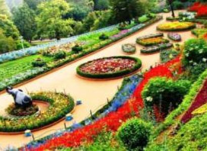 Amritsar and Chandigarh package