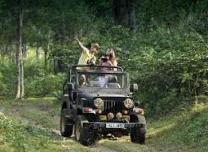 Thekkady Tour Packages
