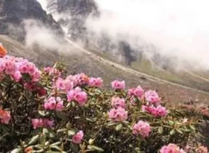 5 Days 4 Nights East - South Sikkim Tour