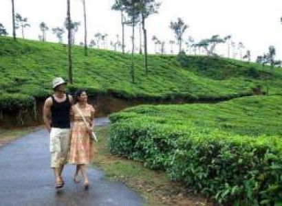 5 Days Bangalore - Mysore - Ooty - Coorg Honeymoon Tour