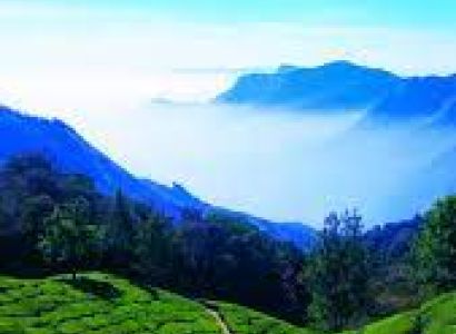 4 Days Alappuzha - Munnar Tour