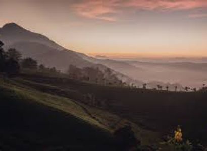 Thekkady Tour Packages