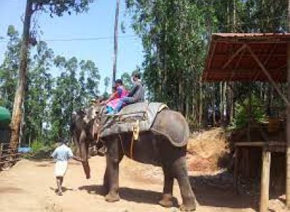 Thekkady Tour Packages