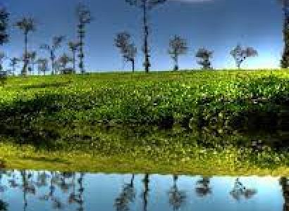Masinagudi Tour Packages