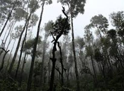 9 Night & 10days Honeymoon Package