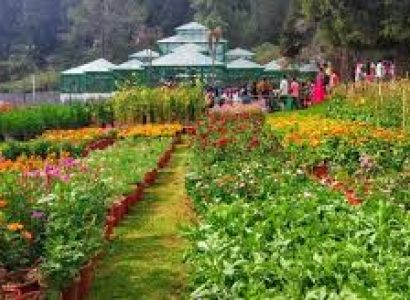 2 Nights 3 Days Hotel Package