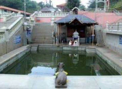5 Nights 6 Days Mysuru - Coorg - Ooty Package