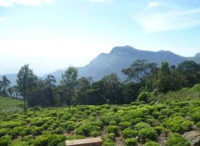Group Package to Ooty