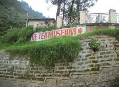 Group Package to Ooty