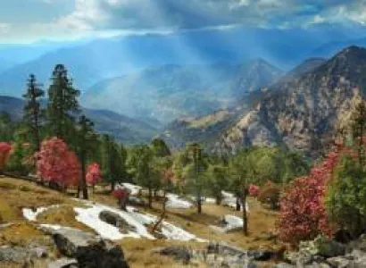 Dhanaulti Tour Packages