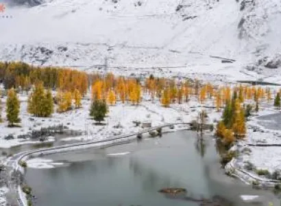 Chandigarh Manali Shimla