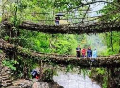 Mystic Meghalaya - Living Root Bridge Trek