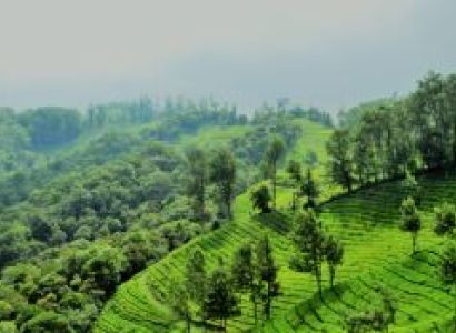 Wonderful Kerala