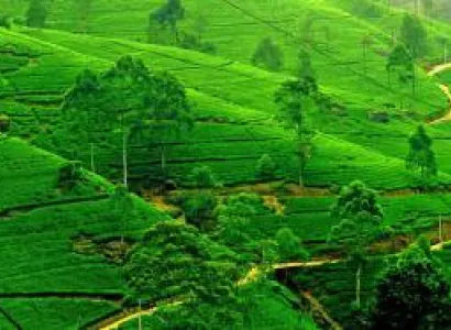 Dharamshala - Dalhousie Package