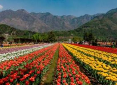 Exclusive Kashmir Tour 5 Nights / 6 Days