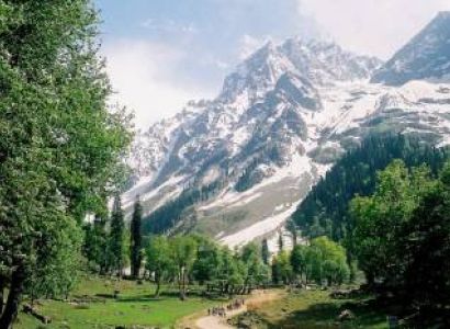 Exclusive Kashmir Tour 5 Nights / 6 Days