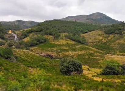 4 Nights - 5 Days Kerala Tour Package