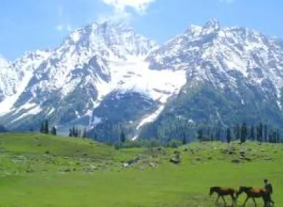 5 Night 6 Days 3 star kashmir tour