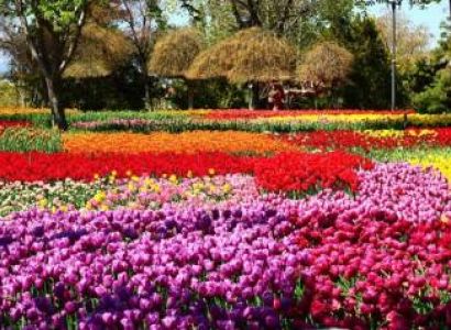 5 Night 6 Days Kashmir Tour Package Premuim Plan